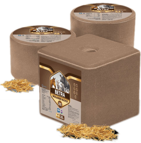 Betra Molasses Block